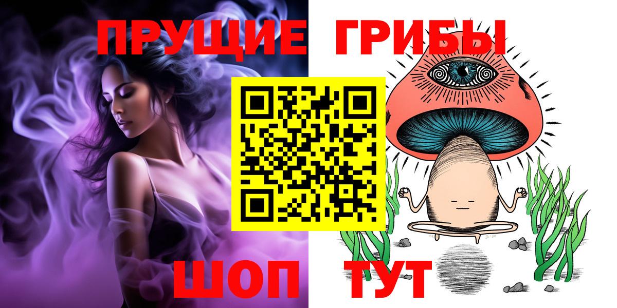 Псилоцибиновые грибы MAGIC MUSHROOMS  Вход с VPN  Псилоцибиновые грибы Cubensis  Тихорецк 